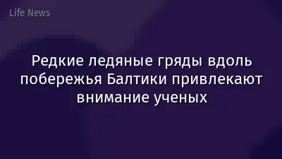 Редкие ледяные гряды вдоль побережья Балтики привлекают внимание ученых