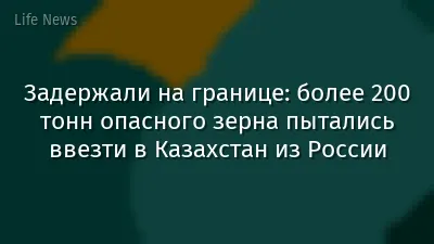 Задержали на границе: более 200 тонн опасного зерна пытались ввезти в Казахстан из России