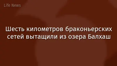 Шесть километров браконьерских сетей вытащили из озера Балхаш