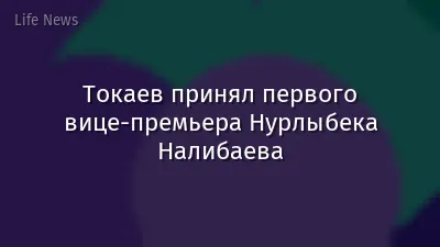 Токаев принял первого вице-премьера Нурлыбека Налибаева