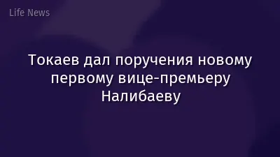 Токаев дал поручения новому первому вице-премьеру Налибаеву