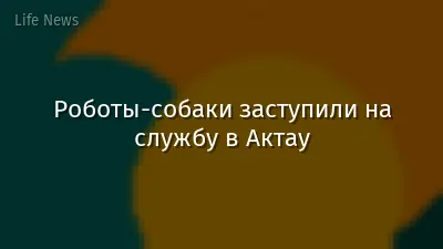 Роботы-собаки заступили на службу в Актау