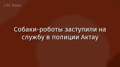 Собаки-роботы заступили на службу в полиции Актау