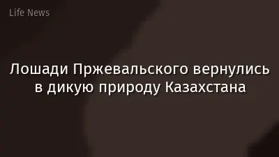 Лошади Пржевальского вернулись в дикую природу Казахстана