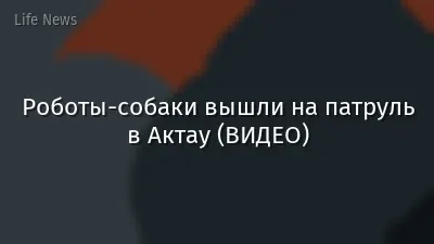 Роботы-собаки вышли на патруль в Актау (ВИДЕО)