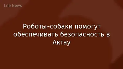 Роботы-собаки помогут обеспечивать безопасность в Актау