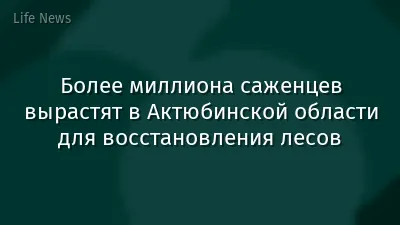 Более миллиона саженцев вырастят в Актюбинской области для восстановления лесов