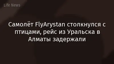 Самолёт FlyArystan столкнулся с птицами, рейс из Уральска в Алматы задержали