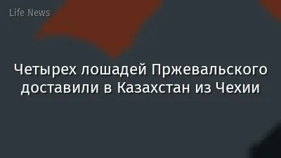 Четырех лошадей Пржевальского доставили в Казахстан из Чехии