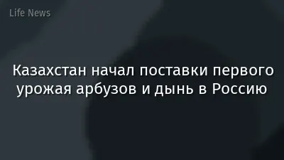 Казахстан начал поставки первого урожая арбузов и дынь в Россию
