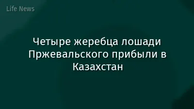 Четыре жеребца лошади Пржевальского прибыли в Казахстан