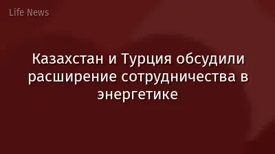 Казахстан и Турция обсудили расширение сотрудничества в энергетике