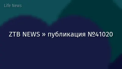 ZTB NEWS » публикация №41020