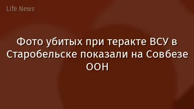 Фото убитых при теракте ВСУ в Старобельске показали на Совбезе ООН