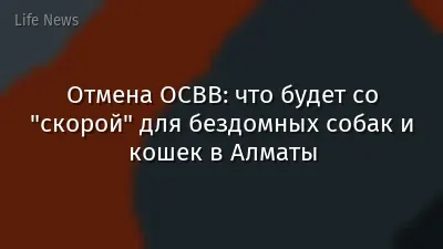 Отмена ОСВВ: что будет со "скорой" для бездомных собак и кошек в Алматы