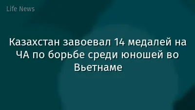 Казахстан завоевал 14 медалей на ЧА по борьбе среди юношей во Вьетнаме
