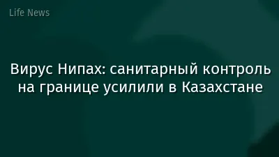 Вирус Нипах: санитарный контроль на границе усилили в Казахстане