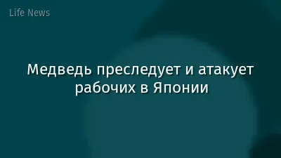 Медведь преследует и атакует рабочих в Японии