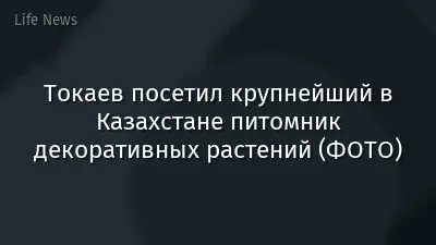 Токаев посетил крупнейший в Казахстане питомник декоративных растений (ФОТО)