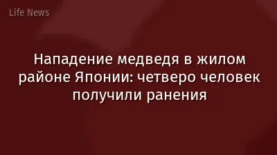 Нападение медведя в жилом районе Японии: четверо человек получили ранения