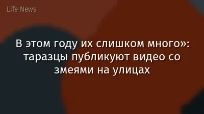 В этом году их слишком много»: таразцы публикуют видео со змеями на улицах