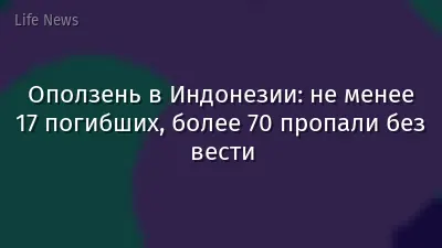 Оползень в Индонезии: не менее 17 погибших, более 70 пропали без вести