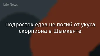 Подросток едва не погиб от укуса скорпиона в Шымкенте