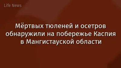 Мёртвых тюленей и осетров обнаружили на побережье Каспия в Мангистауской области