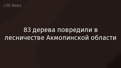 83 дерева повредили в лесничестве Акмолинской области