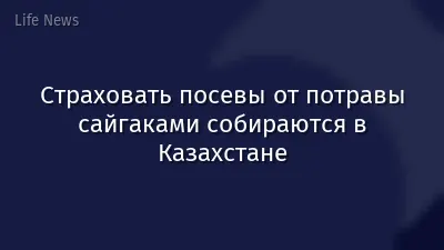 Страховать посевы от потравы сайгаками собираются в Казахстане
