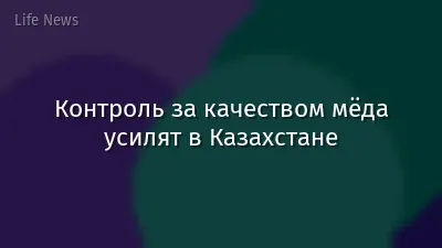 Контроль за качеством мёда усилят в Казахстане
