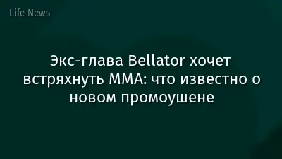 Экс-глава Bellator хочет встряхнуть ММА: что известно о новом промоушене