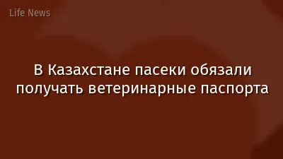 В Казахстане пасеки обязали получать ветеринарные паспорта