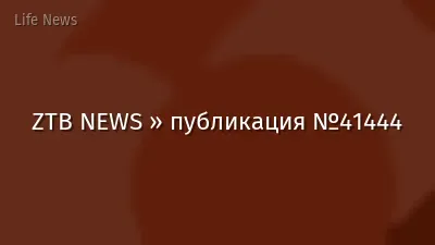 ZTB NEWS » публикация №41444