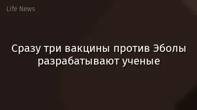 Сразу три вакцины против Эболы разрабатывают ученые