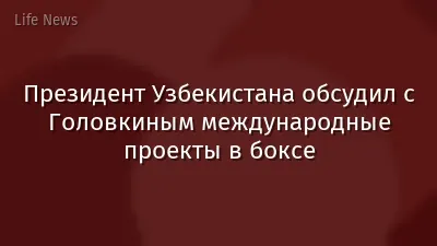 Президент Узбекистана обсудил с Головкиным международные проекты в боксе