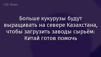 Больше кукурузы будут выращивать на севере Казахстана, чтобы загрузить заводы сырьём: Китай готов помочь