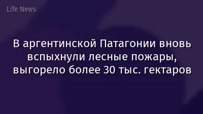 В аргентинской Патагонии вновь вспыхнули лесные пожары, выгорело более 30 тыс. гектаров