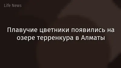 Плавучие цветники появились на озере терренкура в Алматы