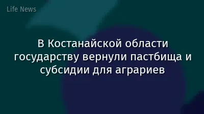 В Костанайской области государству вернули пастбища и субсидии для аграриев