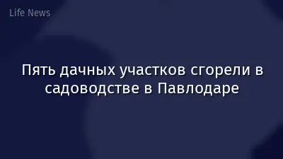 Пять дачных участков сгорели в садоводстве в Павлодаре