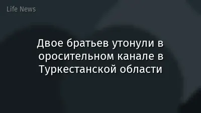Двое братьев утонули в оросительном канале в Туркестанской области