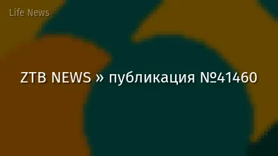 ZTB NEWS » публикация №41460
