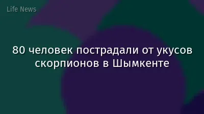 80 человек пострадали от укусов скорпионов в Шымкенте