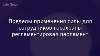 Пределы применения силы для сотрудников госохраны регламентировал парламент