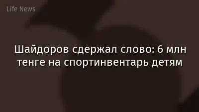 Шайдоров сдержал слово: 6 млн тенге на спортинвентарь детям