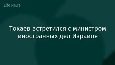 Токаев встретился с министром иностранных дел Израиля