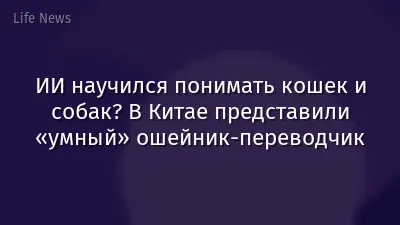 ИИ научился понимать кошек и собак? В Китае представили «умный» ошейник-переводчик