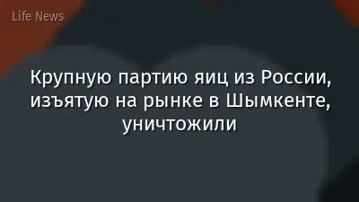 Крупную партию яиц из России, изъятую на рынке в Шымкенте, уничтожили