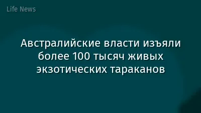 Австралийские власти изъяли более 100 тысяч живых экзотических тараканов